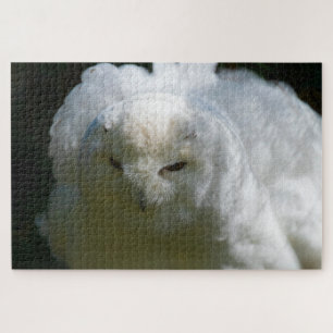 Snowy Owl schwimmt über Super Challenging Bird Lov Puzzle