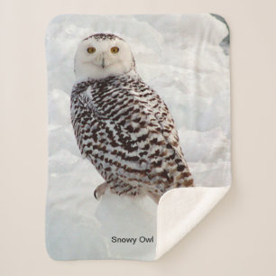 Snowy Owl Sherpa Blanket Sherpadecke