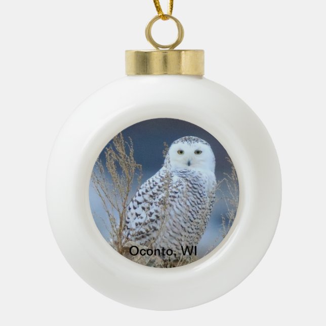 Snowy Owl Snowball Ornament (Vorderseite)