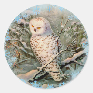 SNOWY OWL & SNOWFLAKEN VON SHARON SHARPE RUNDER AUFKLEBER
