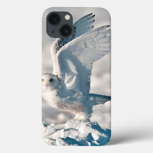 Snowy Owl taking off from snow iPhone 13 Hülle
