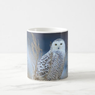 Snowy Owl Tasse