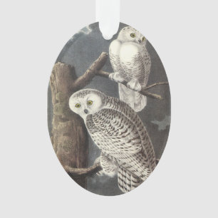 Snowy Owl von Audubon Ornament
