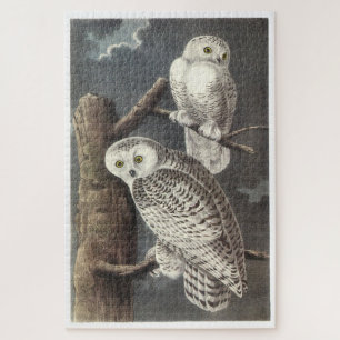 Snowy Owl von Audubon Puzzle