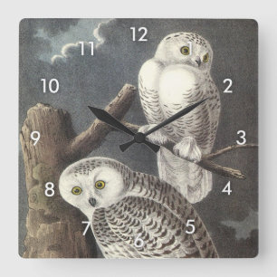Snowy Owl von Audubon Quadratische Wanduhr