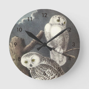 Snowy Owl von Audubon Runde Wanduhr