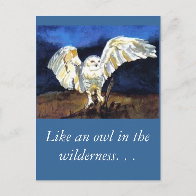 Snowy Owl von Paula Atwell Postkarte (Vorderseite)