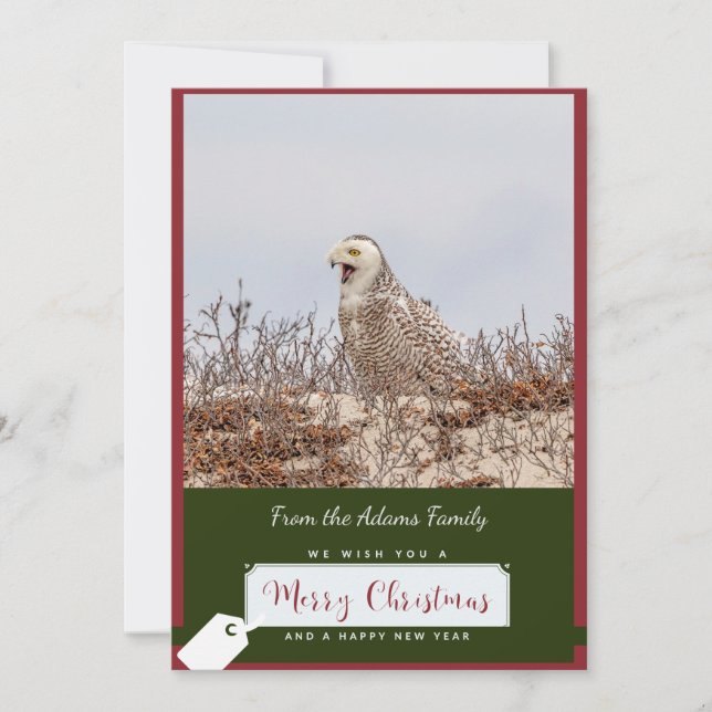 Snowy Owl Weihnachtskarte Feiertagskarte (Vorderseite)