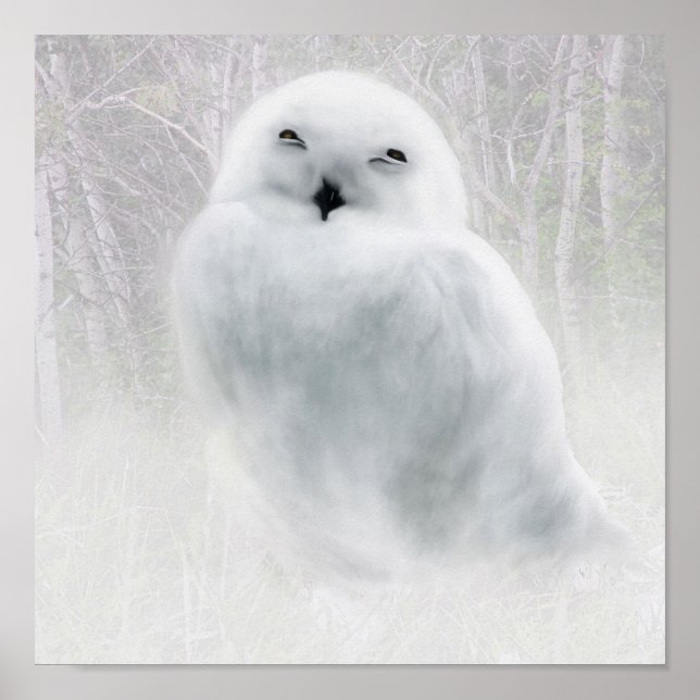 Snowy Owlet Poster (Vorne)
