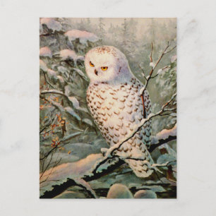 SNOWY OWY by SHARON SHARPE Postkarte