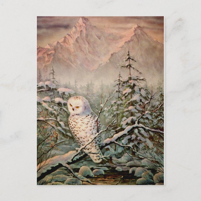SNOWY OWY by SHARON SHARPE Postkarte (Vorderseite)