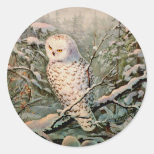 SNOWY OWY by SHARON SHARPE Runder Aufkleber