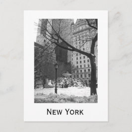 Snowy Park in New York Postkarte