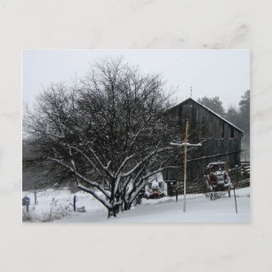 Snowy Parters' Yard Postkarte