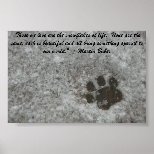 Snowy Paw Print Poster (Vorne)