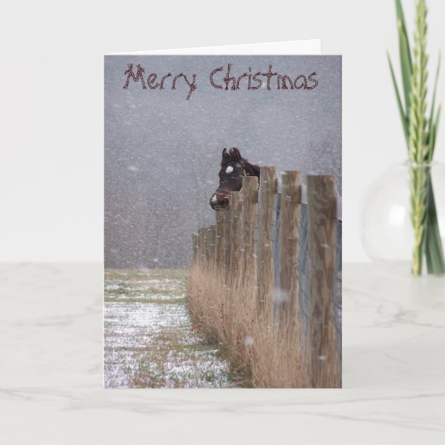 Snowy-Pferde, frohe Weihnachten (Vorderseite)