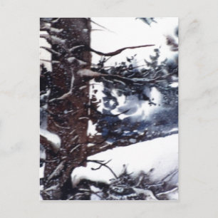 "Snowy Pine #2" Landstraßen Postkarte