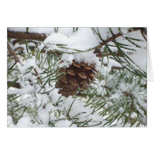 Snowy Pine Cone I Winter Nature Fotografy