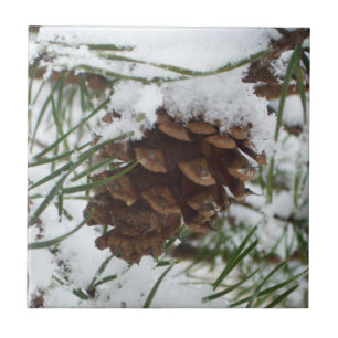 Snowy Pine Cone I Winter Nature Fotografy Fliese