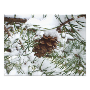 Snowy Pine Cone I Winter Nature Fotografy Fotodruck