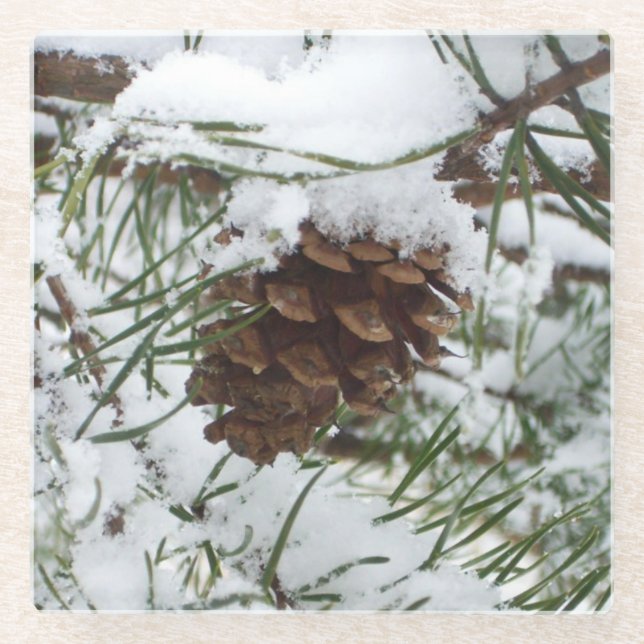 Snowy Pine Cone I Winter Nature Fotografy Glasuntersetzer (Vorderseite)