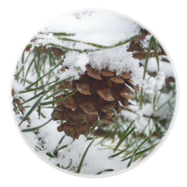 Snowy Pine Cone I Winter Nature Fotografy Keramikknauf (Vorderseite)
