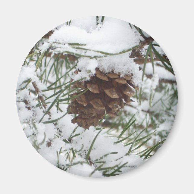Snowy Pine Cone I Winter Nature Fotografy Magnet (Vorne)