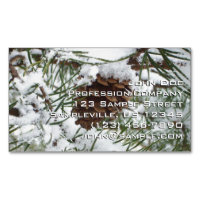 Snowy Pine Cone I Winter Nature Fotografy