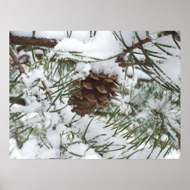 Snowy Pine Cone I Winter Nature Fotografy Poster (Vorne)