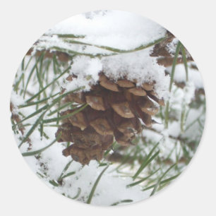 Snowy Pine Cone I Winter Nature Fotografy Runder Aufkleber