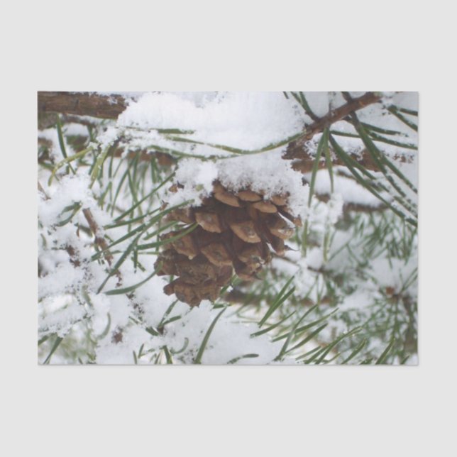 Snowy Pine Cone I Winter Nature Fotografy Seidenpapier (Vorderseite)
