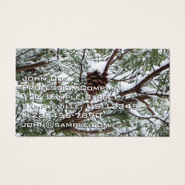 Snowy Pine Cone II Winterlandfotografie (Vorderseite)