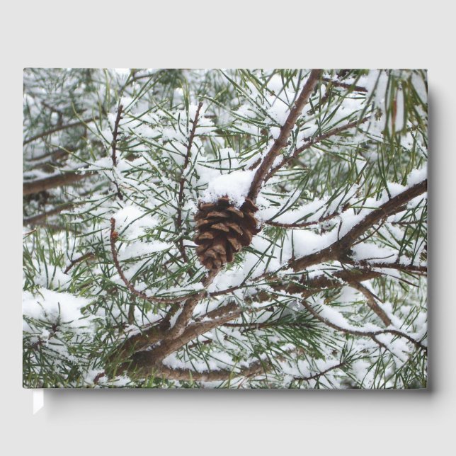Snowy Pine Cone II Winterlandfotografie Gästebuch (Vorderseite)