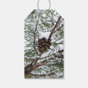 Snowy Pine Cone II Winterlandfotografie Geschenkanhänger