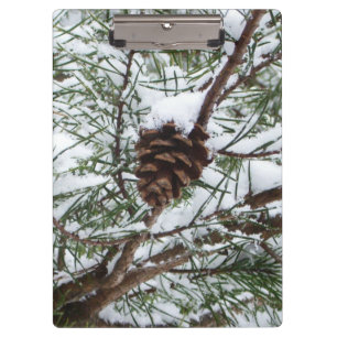 Snowy Pine Cone II Winterlandfotografie Klemmbrett