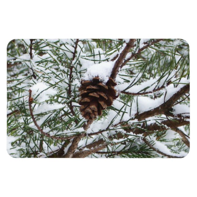Snowy Pine Cone II Winterlandfotografie Magnet (Horizontal)