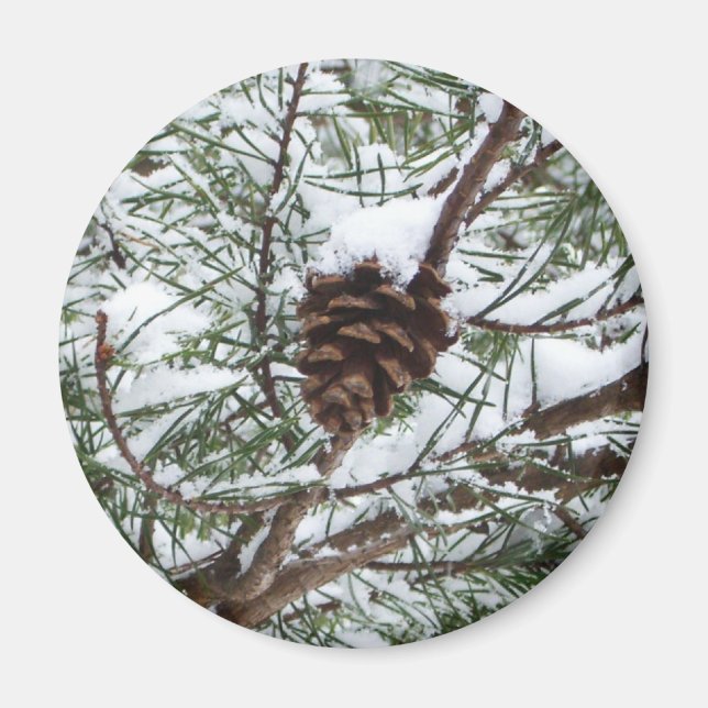 Snowy Pine Cone II Winterlandfotografie Magnet (Vorne)