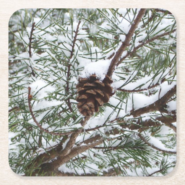 Snowy Pine Cone II Winterlandfotografie Rechteckiger Pappuntersetzer (Vorderseite)
