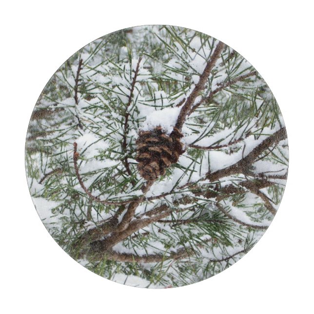 Snowy Pine Cone II Winterlandfotografie Schneidebrett (Vorderseite)