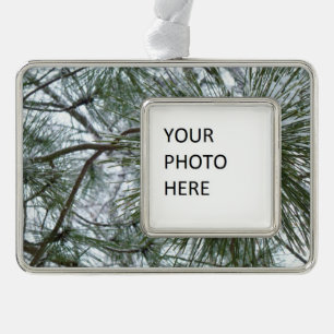 Snowy Pine Needles Winter Nature Fotografy Rahmen-Ornament Silber