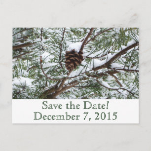 Snowy Pinecone Save the Date Ankündigungspostkarte
