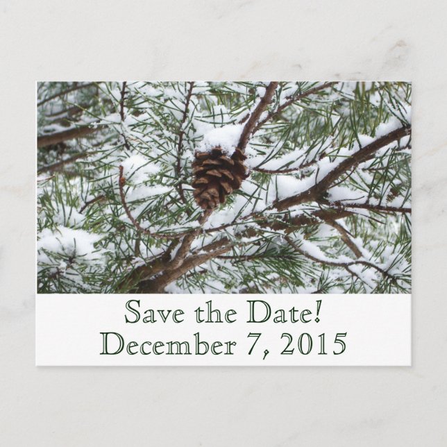 Snowy Pinecone Save the Date Ankündigungspostkarte (Vorderseite)
