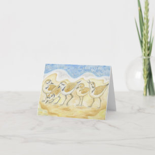 Snowy Plover danke notecard