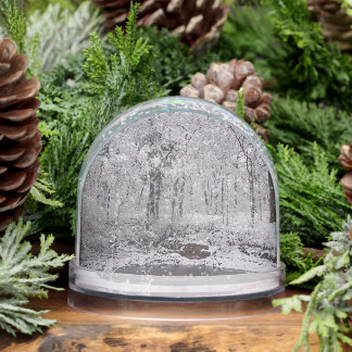 Snowy Pond Snow Globe Schneekugeln