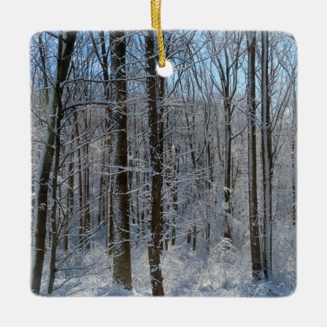 Snowy Poplar Forest I Keramikornament (Vorderseite)