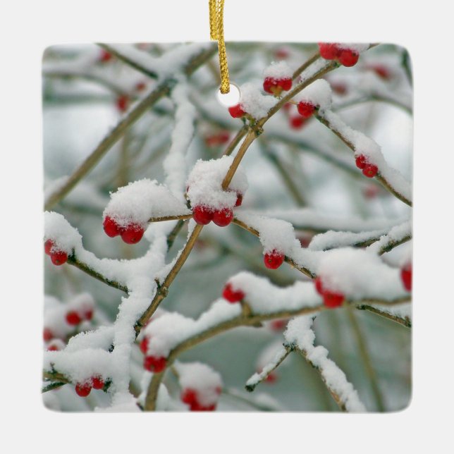 Snowy Red Berries Winter Scene Keramikornament (Vorderseite)