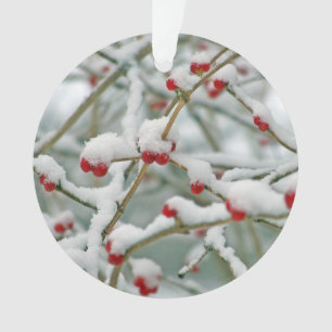 Snowy Red Berries Winter Scene Ornament