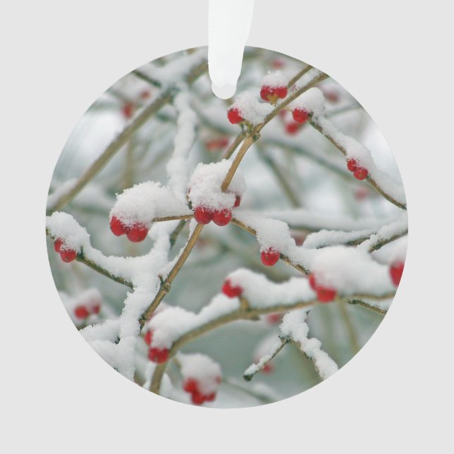 Snowy Red Berries Winter Scene Ornament (Vorderseite)
