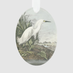 Snowy-Reiher durch Audubon Ornament