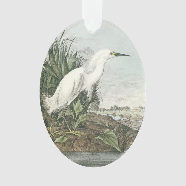 Snowy-Reiher durch Audubon Ornament (Vorderseite)